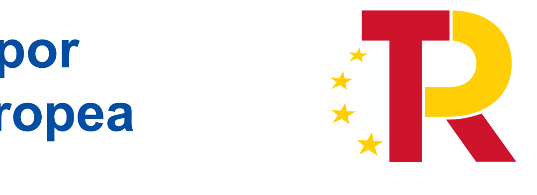 Contenido de los pliegos de contratación del PRTR